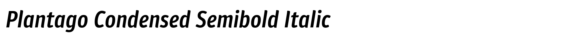 Plantago Condensed Semibold Italic image